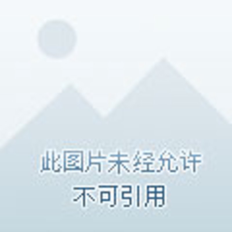 如何选择高质量的洛阳文具?——一次深度访谈